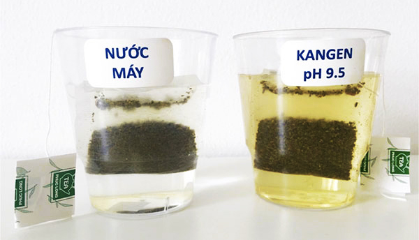 Nước ion kiềm pH 9.5 dùng để pha Trà